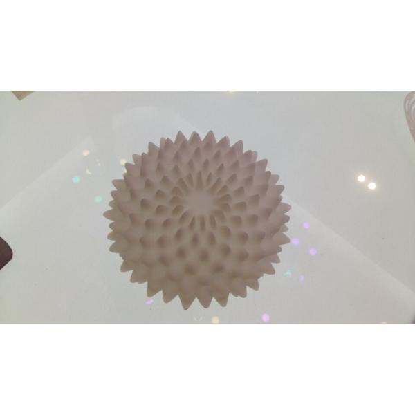 Precise SLS Rapid Prototyping PA2200 White Nylon High Flexible Degree