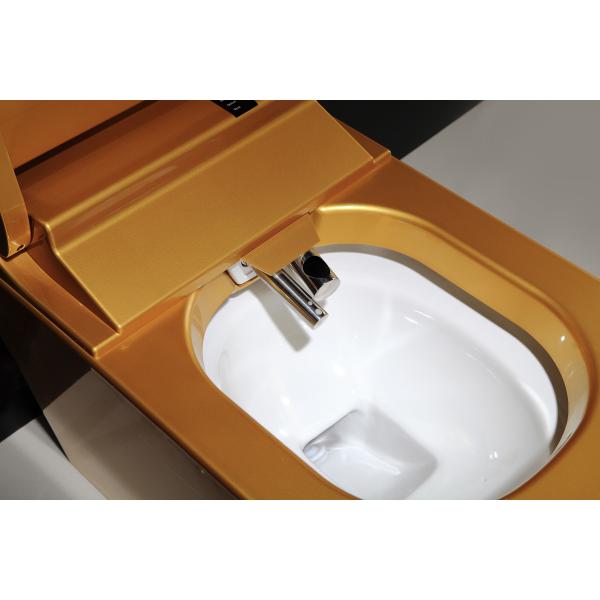 Full Body Golden SmartToilet With Built In Bidet , Intelligent Toilet Seat Floor Mounted