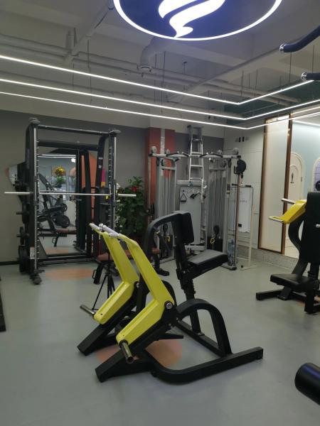 Commercial Gym Equipment Plate Loaded Machines-Strength Plate Load Selection for Seated Chest Press Shoulder Press for Gym Use