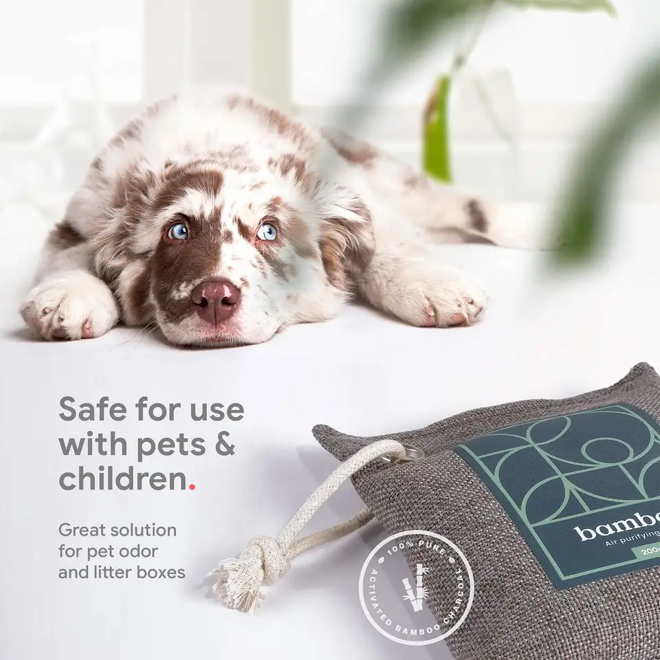 200g Activated Bamboo Charcoal Air Purifying Bag for Home Office Car Hotel Odor Absorption