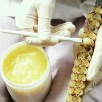 1,6% naturel de 10-HDA biologique de la gelée royale fraîche pure pour les soins de santé