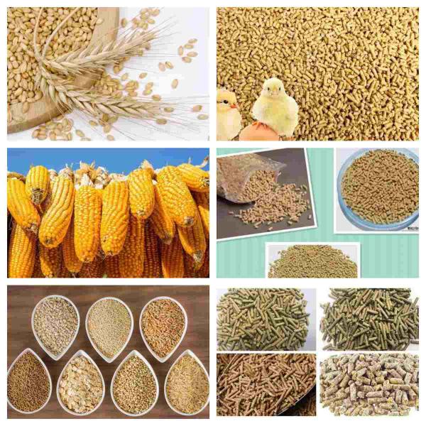 Емкость 500kg к 2000kg в овец скотин цыпленка часа кормит производственную линию лепешки питания машины лепешки корма для животных