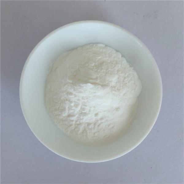 astragalus root extract 98% cycloastragenol capsules