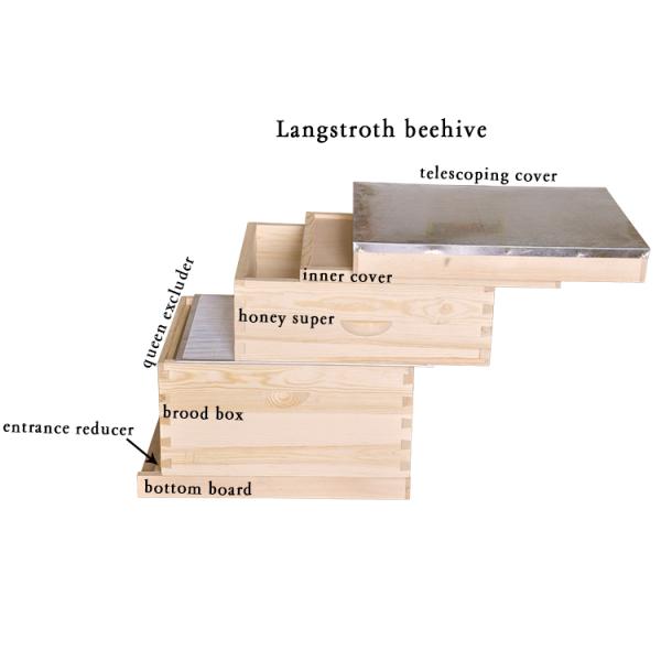 Влагостойкая деревянная крапивница пчелы Langstroth 10 кадров