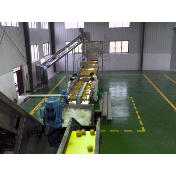 Commercial Orange Juicer Machine Orange Juice Production Line Orange Peeler Machine Peeling