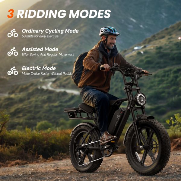 EU Stock R002 Pro DDP Delivery 20A Lithium Battery 105km Electric Fat Tyre Hybrid Cycle Rear Hub Motor Brushless Disc Brakes