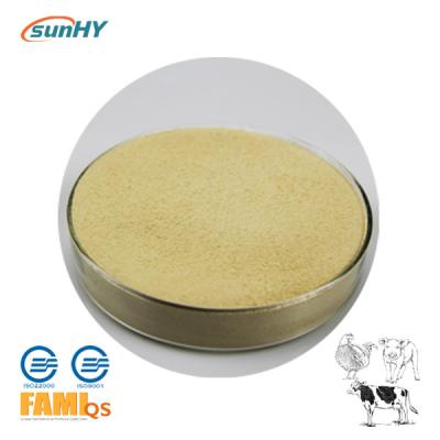 Sunzyme DE200, uma enzima digestiva personalizada do composto como o formulário do pó para melhorar a digestibilidade de ingredientes da alimentação