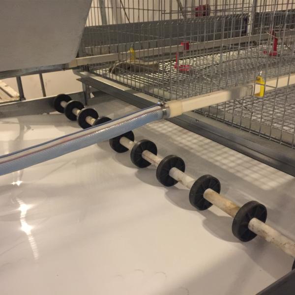 Оборудование сельского хозяйства птицы батареи, прочный тип 192 клетка х цыпленка младенца