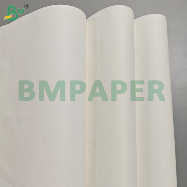 Hojas de papel resistentes al moho para revestimiento de vidrio