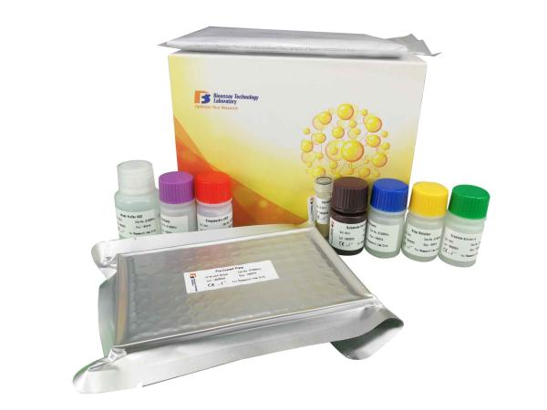 ET 1 Sandwich Immunosorbent Assay Kit High Sensitive Mouse ELISA Kit 2 Hours Assay Length