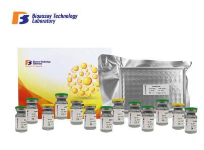Canine Substance P ELISA Assay Kit Immunoassay Test Kits For Research