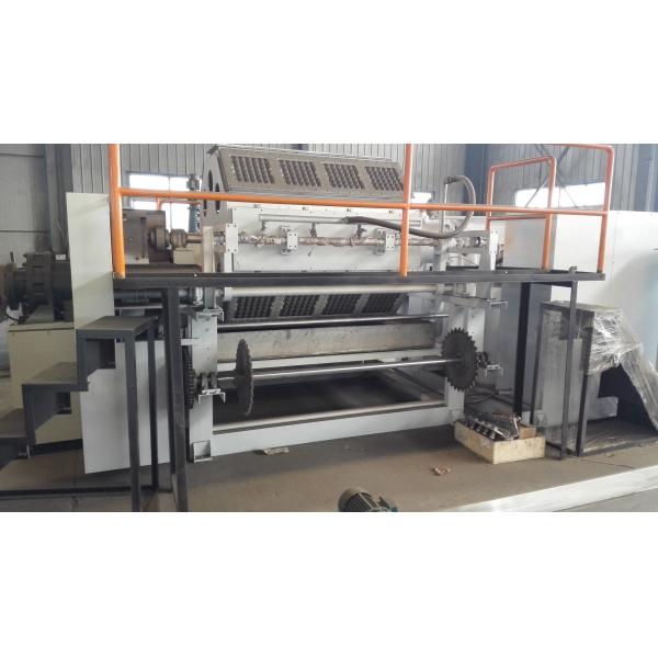 PLC Controlled Automatic Egg Tray Making Machine 5000-6000pcs/Hour Recycled Paper Pulp Molding Production Line