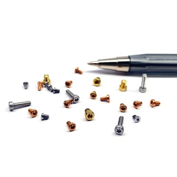 Stainless Steel Ultra Low Profile Watch Screw M0.8x1mm DIN Standard