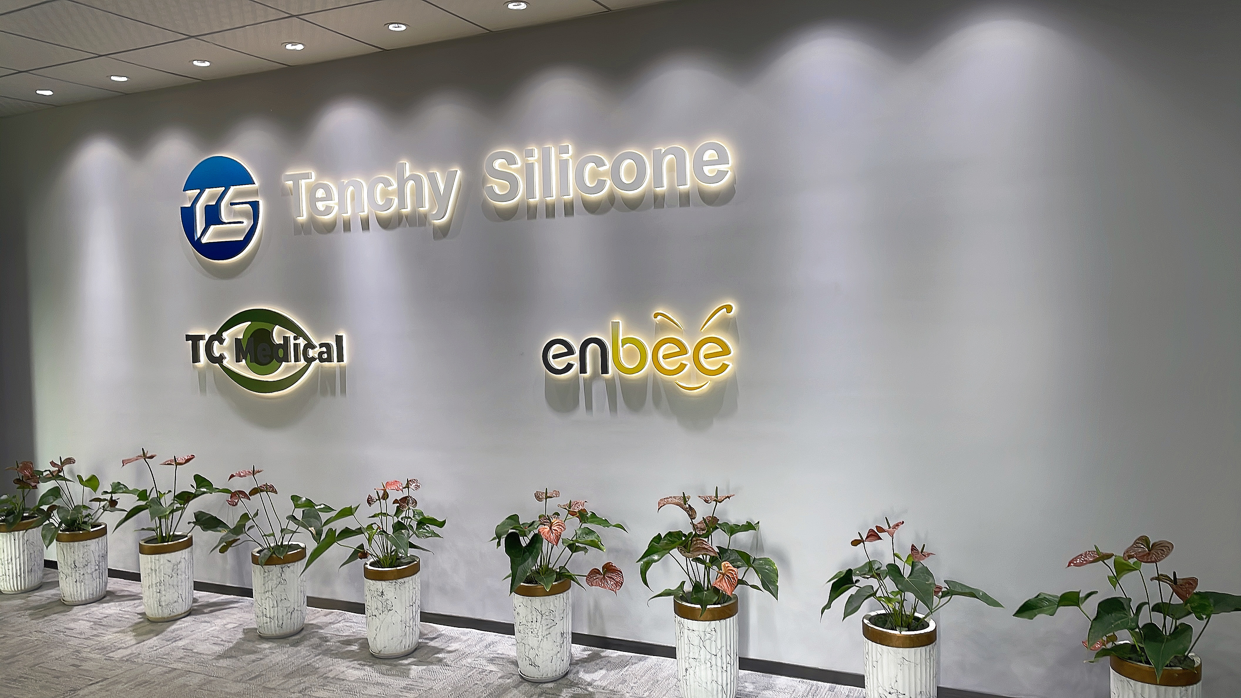 Shenzhen Tenchy Silicone&Rubber Co.,Ltd