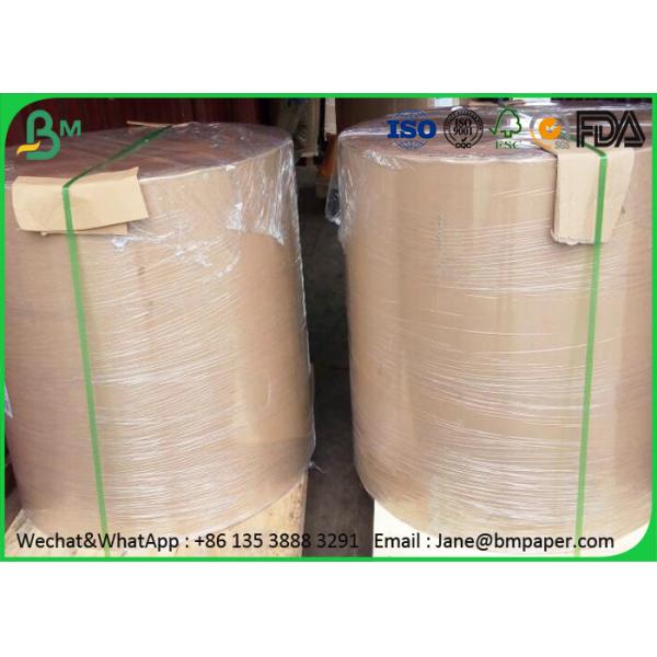 White Kraft Liner Food Grade Paper Roll 80gram 100gram 120gram 130gram In Reels