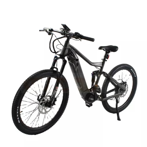 48V 20AH Lithium-ion Battery Mid Motor Bike for Adults Dirt Mountain Electric Bike