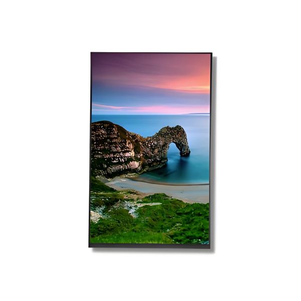 IPS Technology HD TFT POS LCD Display Screen 10.1 Inch 800x1280 500cd/M2