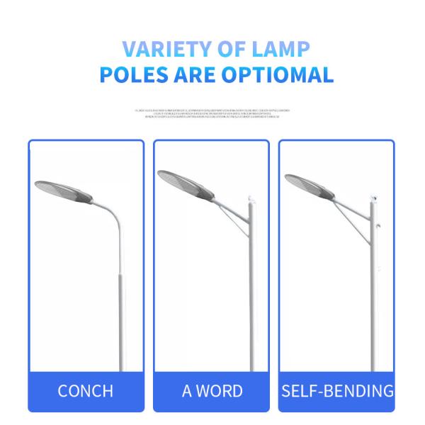 электрическая лампочка приведенная улицы ватта 50w 60w света поляка 30 сада СИД 63Cm на открытом воздухе на открытом воздухе