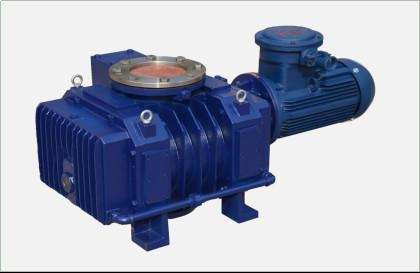 Electronics Industry  Compac Roots Vacuum Pump 1350L/S  Quick Start