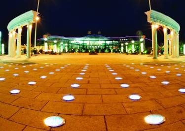 No UV Blue / Green Outdoor Garden Ground Lights 50000 Hours Lifespan