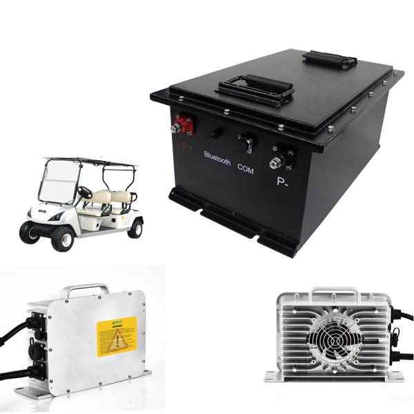 Rechargeable 51.2V 100Ah LiFePO4 Battery Pack For Golf Cart / EV