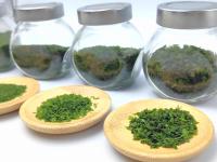 OEM Aonori Alga verde seca Ulva Nori Embalaje y tamaño personalizables