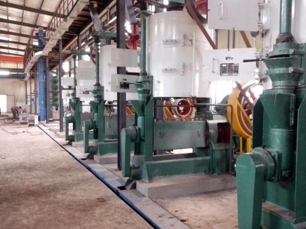 12tpd Sesame Seed Edible Oil Press Machine Cooking Oil Pressing Machinery