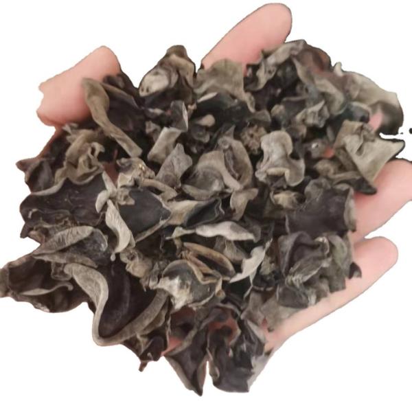 Cool Dried Storage Type Organic Dried Black Fungus Bulk 4-5CM from India and