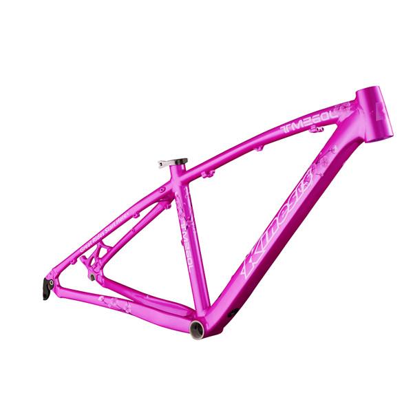 26 inch Aluminum Bike Frame Lady's Hardtail Xc mountain bike Women TM160L