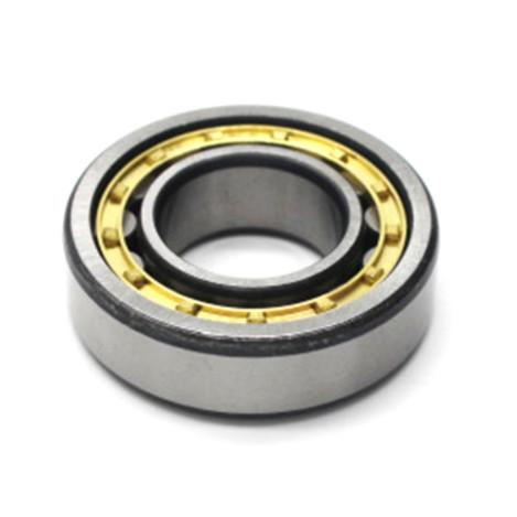 NJ200 Series Single Row Roller Bearing NJ220 NJ222 NJ226 Cylindrical Roller
