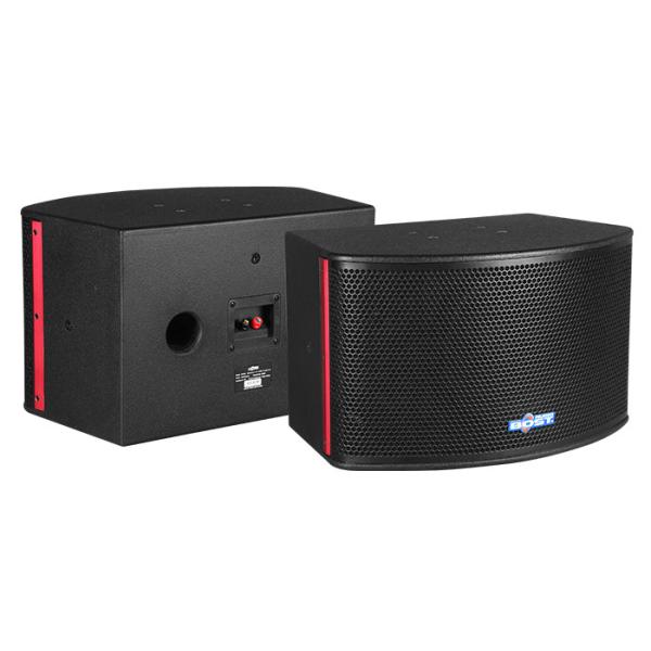 10 inch full range karaoke speaker OK-330