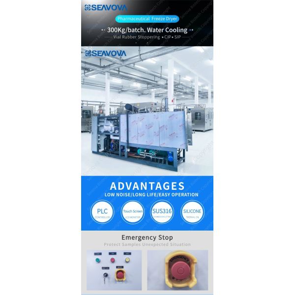300Kg Freeze Dryer In Pharmaceutical Industry Small Lyophilizer