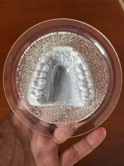 La Guardia Nocturna es suave por dentro y dura por fuera.