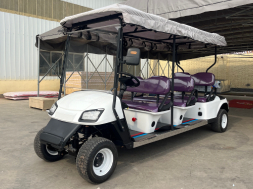 3.5KW 110V~240V Rechargeable LSV Golf Cart for Hotel Baggage Handling