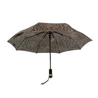 Guarda-chuva dobrável automático 21