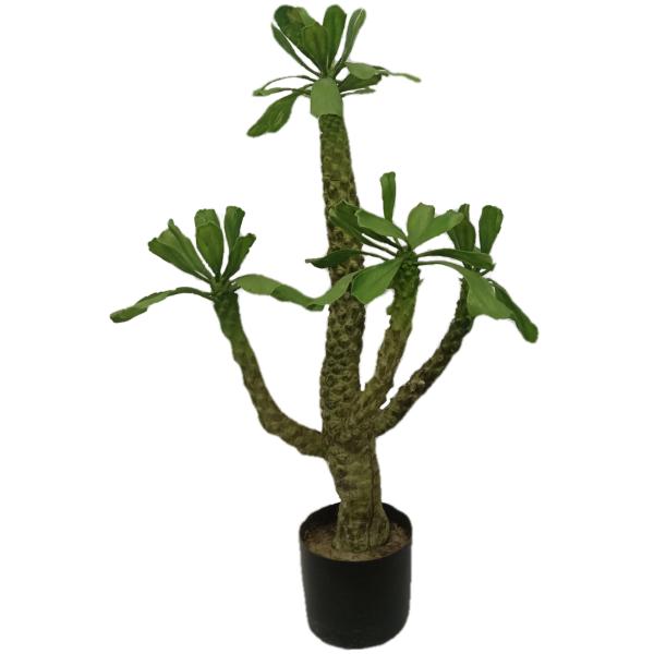 Height 100cm Artificial Landscape Trees Pachypodium Lamerei Drake Indoor Decor