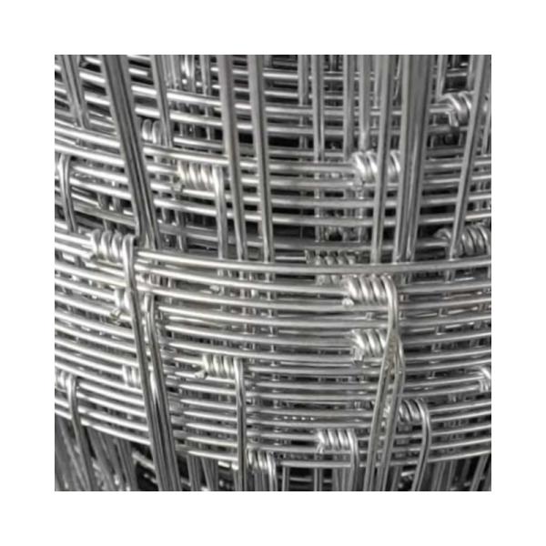 Ограждение с оцинкованным фиксированным узлом Металл Железо Белое Садовое Ограждение Алюминиевое Ограждение Низкоуглеродистая стальная проволока Основные железные ворота