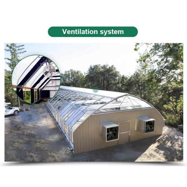 Сельскохозяйственные светочувствительные теплицы - идеальное решение для выращивания грибов