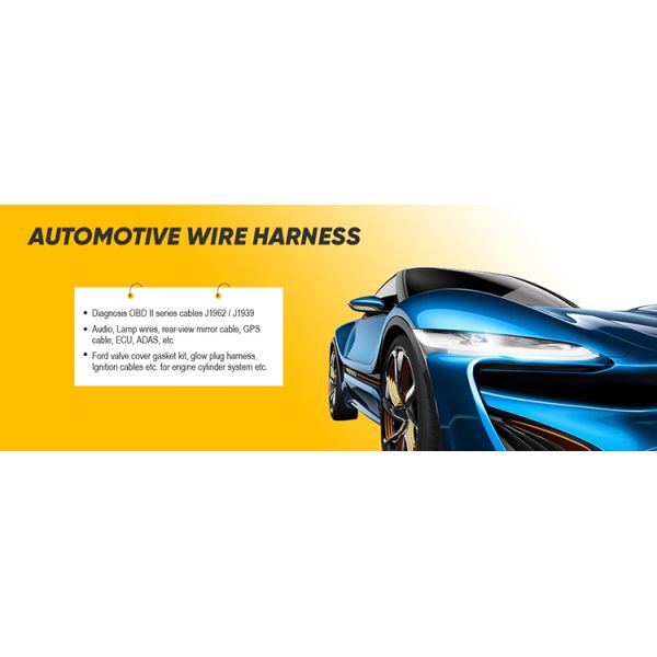 UL CUL Listed Lamp Wire Harness OEM Wire Assembly Custom Wire Harness with IATF16949