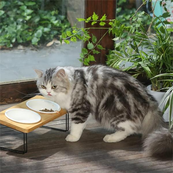 Raised Elevated Ceramic Pet Bowl For Cat Dog Food Water Feeding OEM