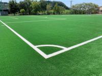 La FIFA a approuvé le tapis artificiel de gazon du football d'herbe du football du football
