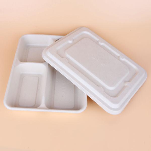 Three compartments to-go box biodegradable eco friendly wheat starw fast food container with lid