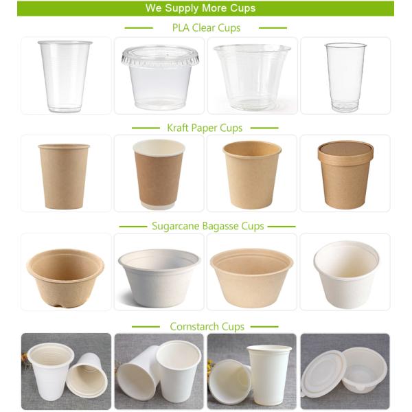OEM Custom Logo 100% Bio Compostable PLA Transparent Cups Smoothie Beer Wine Beverage Ice CE Cold Disposable Drink To