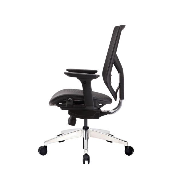 Tender Form M 4D Arms Ergonomic Mesh Office Chair Seat Paddle Control Ergo Support