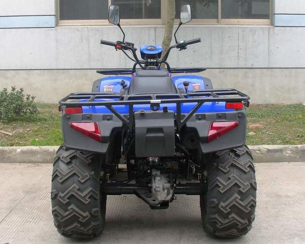 Full Automatic Liquid Cooled 250cc Atv Quad Bike With Qinqi Engine