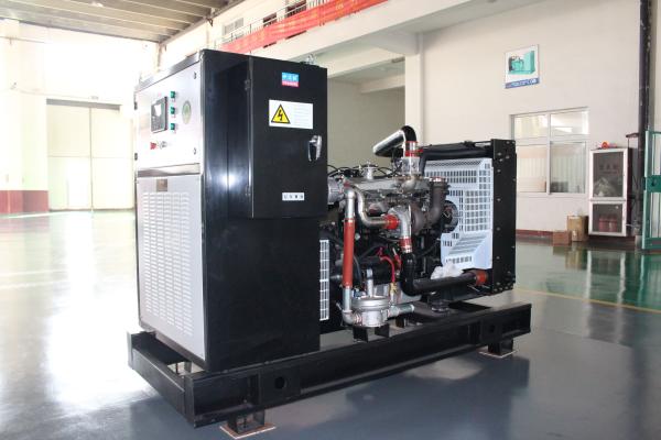 80kw Natural Gas Generator 6 Cylinder 4 Stroke 1500rpm 1006TNG Black