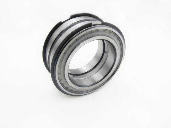 Wind Generator Cylindrical Roller Bearing SL045005PP Double Row INA Bearings