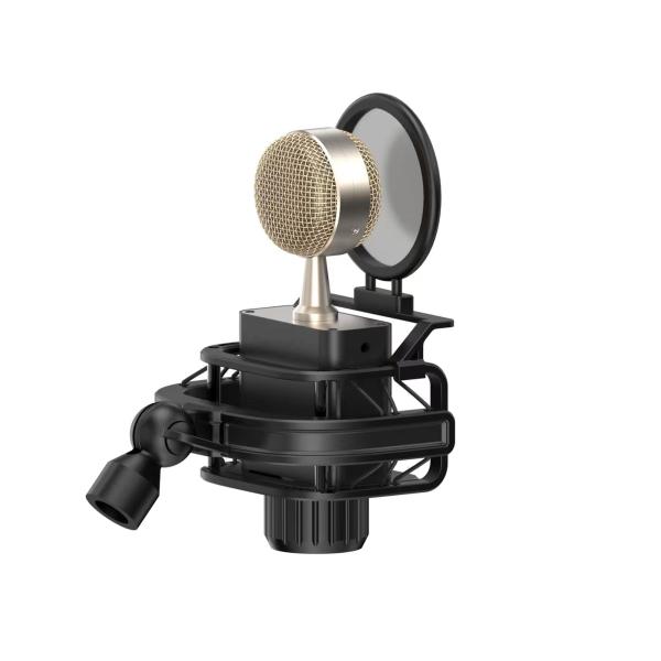797Audio CR632 Professional 3-Pin XLR Studio Condenser Microphone Light-Weight Customized Recording Mic with Best Price