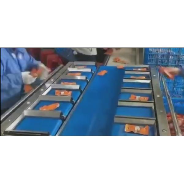 DF-GD200 7 Section 0.4-0.8Mpa Weight Sorting Scale 5g-200g IP66 For Meat Food Display Division 0.1g AC220/50Hz