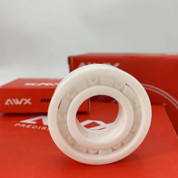 6303 Load Capacity Ceramic Roller Bearing